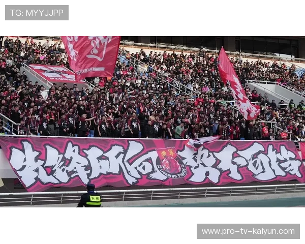 球迷文化：赛场应援创意视频走红社交平台，球迷交流app