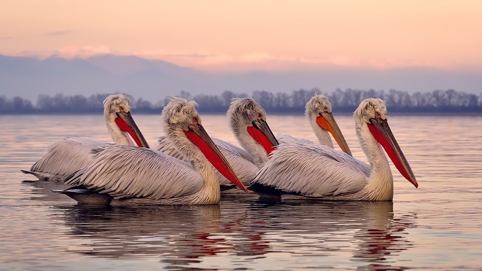 开云体育官网app-中国男篮主打转换推进快速制造机会，中国男篮遭逆转