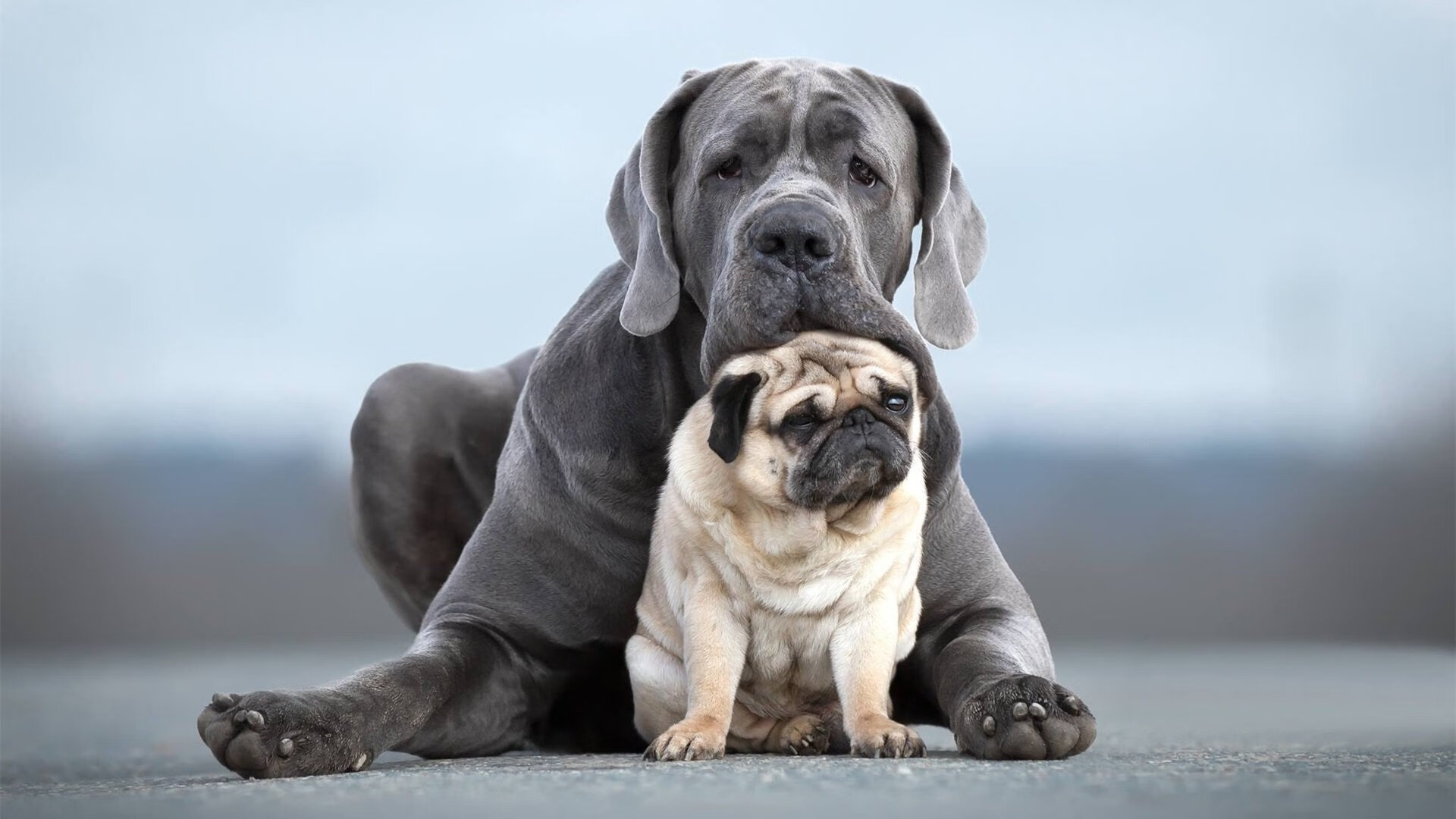 开云官方网-博洛尼亚短传渗透打出立体攻击方式,博洛尼亚作品集