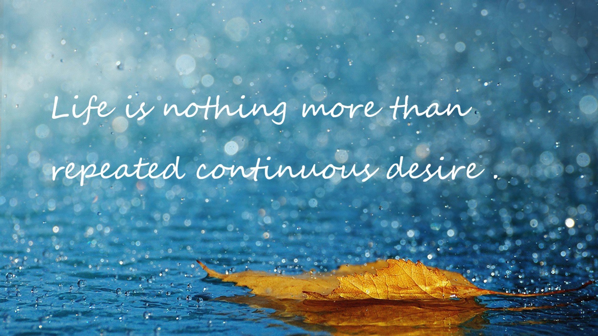 开云体育网站-外教文化融入难影响团队凝聚力,外教团队对训练的要求很高