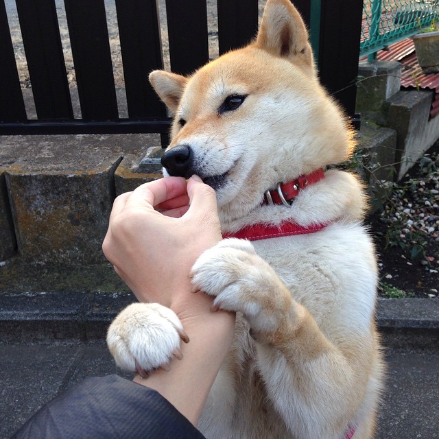 开云体育官网app-球员在压哨阶段的心理节奏调控方法,球员在压哨阶段的心理节奏调控方法是