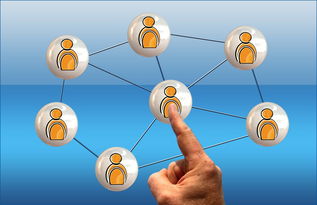 开云体育app下载-赛事运营团队加强品牌建设与粉丝互动,赛事运营方案