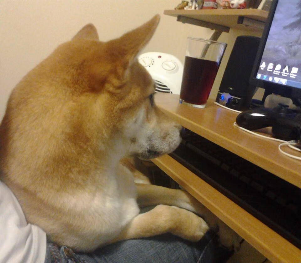 kaiyun开云体育-世界杯逆转传奇：激动人心的精彩瞬间！，世界杯首场逆转