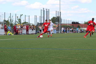 kaiyun开云体育-中国足球青训基地训练环境设施全面升级,中国足球青训学校排名