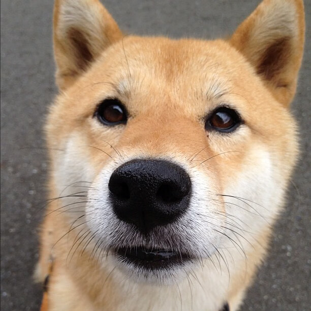 kaiyun开云体育-中国足球青训基地训练环境设施全面升级,中国足球青训学校排名