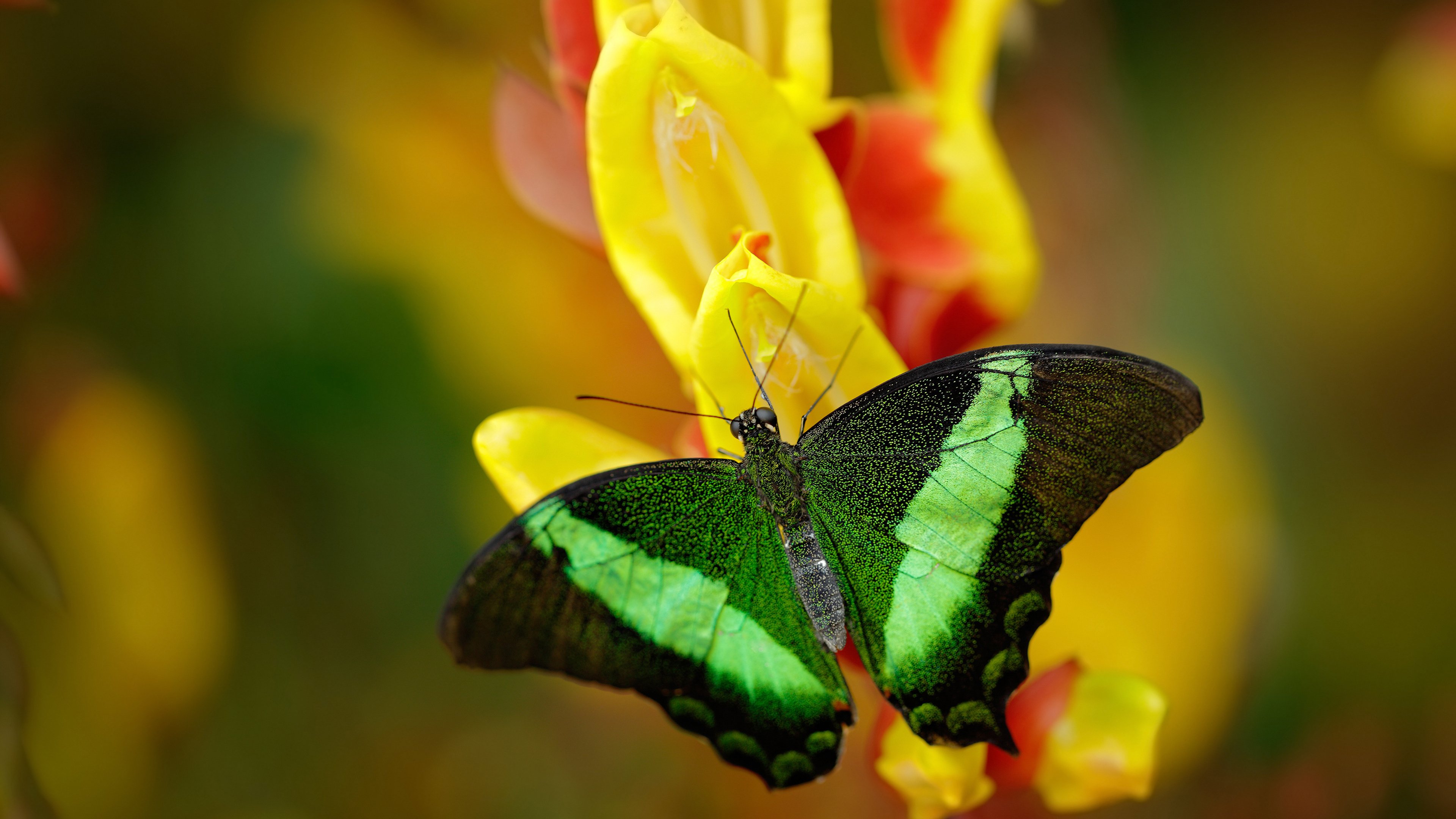 kaiyun开云体育-中国足球青训基地训练环境设施全面升级,中国足球青训学校排名