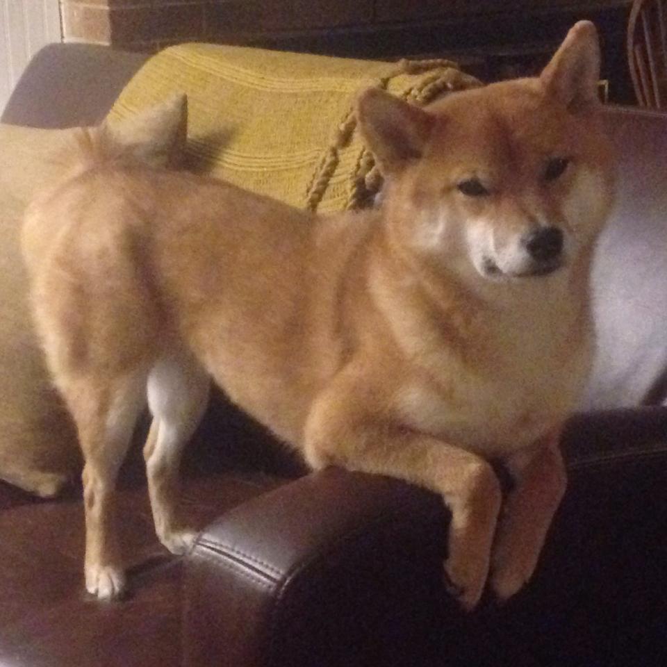 开云体育登录入口-乌拉圭男篮在南美锦标赛中夺冠，体育影响力快速扩大，乌拉圭男篮实力