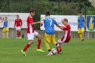 开云体育-塞尔维亚实力不断提升，期待在国际大赛中突破