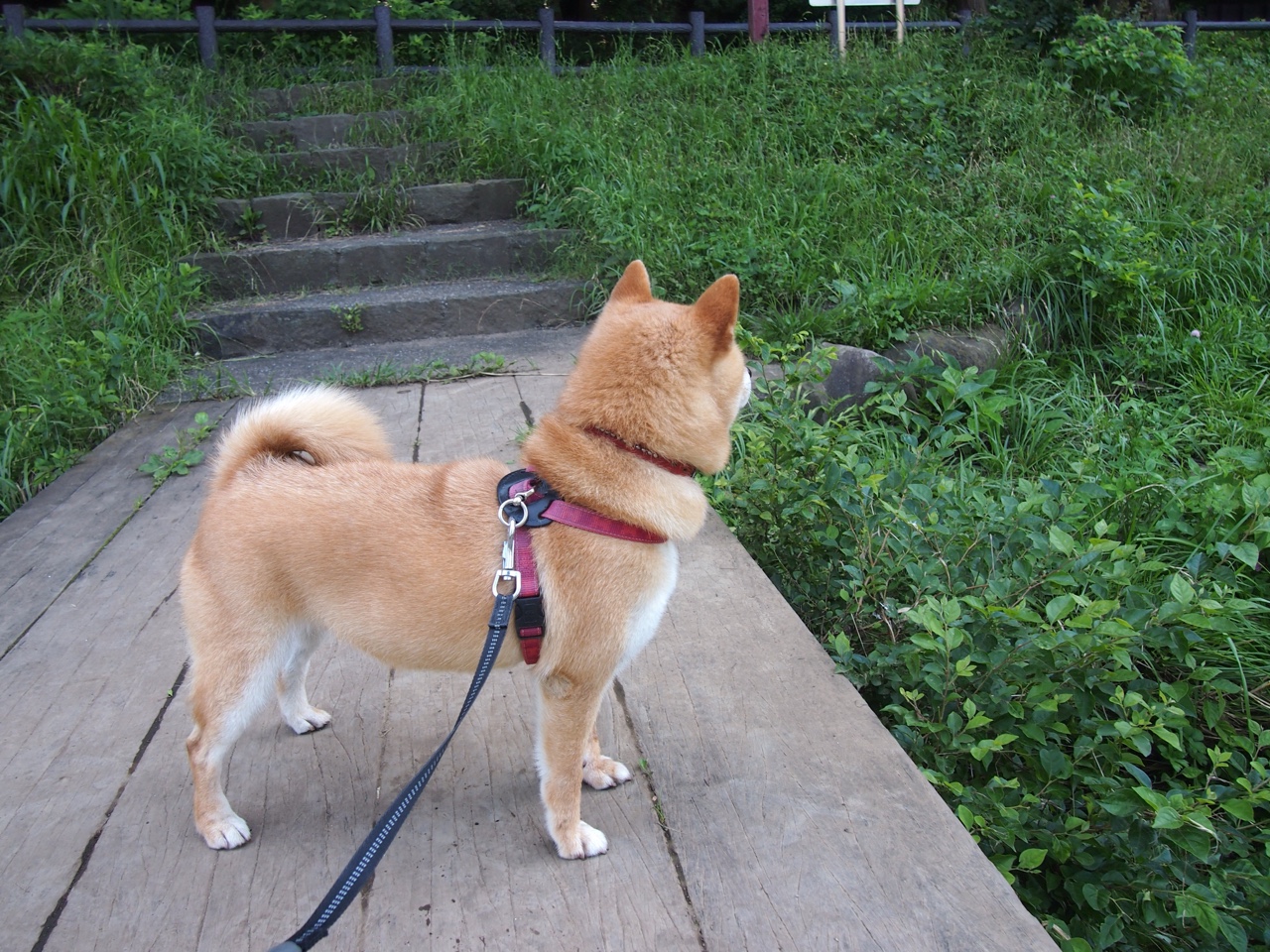 开云体育登录-巴尔:在防守和进攻转换中,他为全黑队提供了巨大的战术灵活性