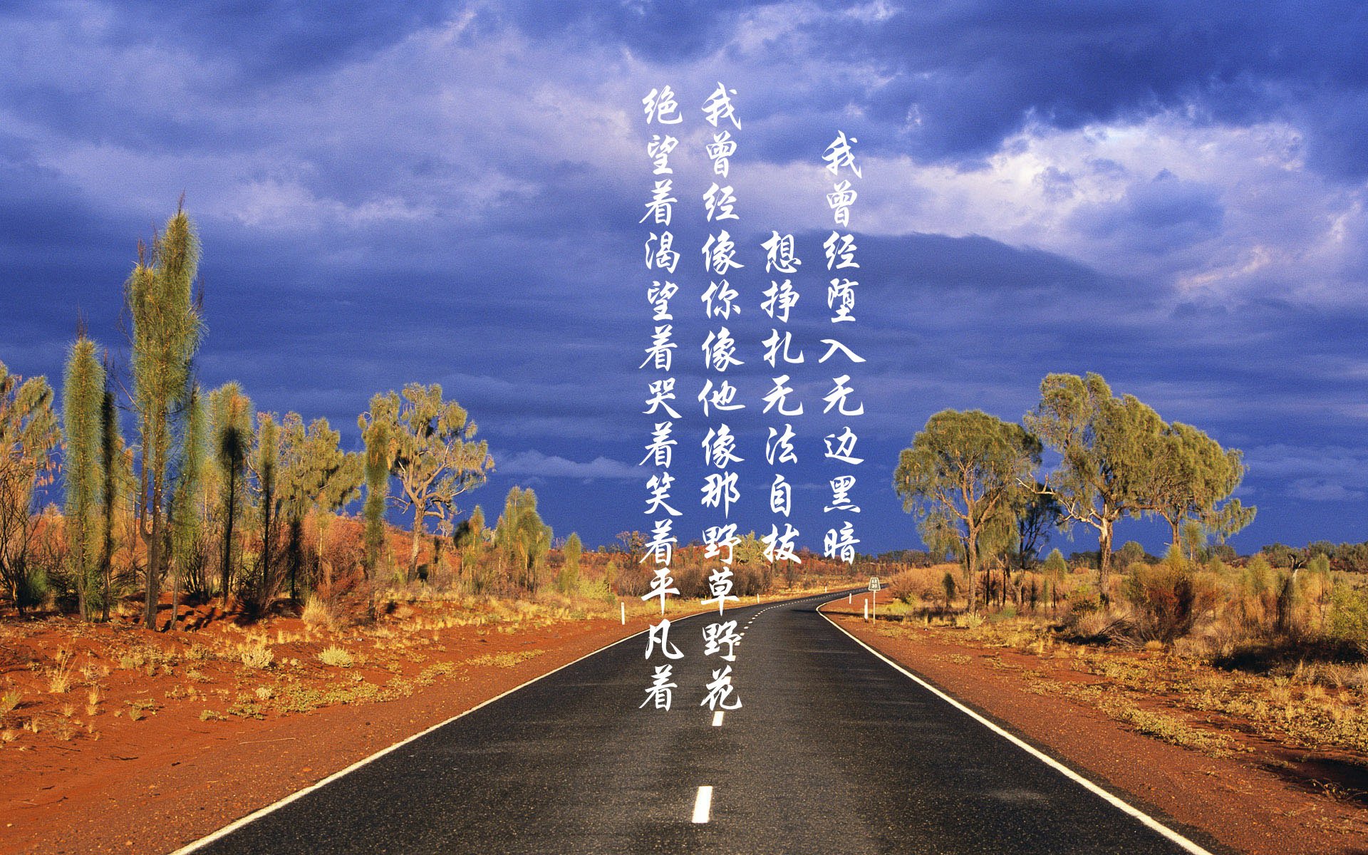 开云体育平台-森林狼教练谈到年轻阵容执行力显著提升，森林狼 教练