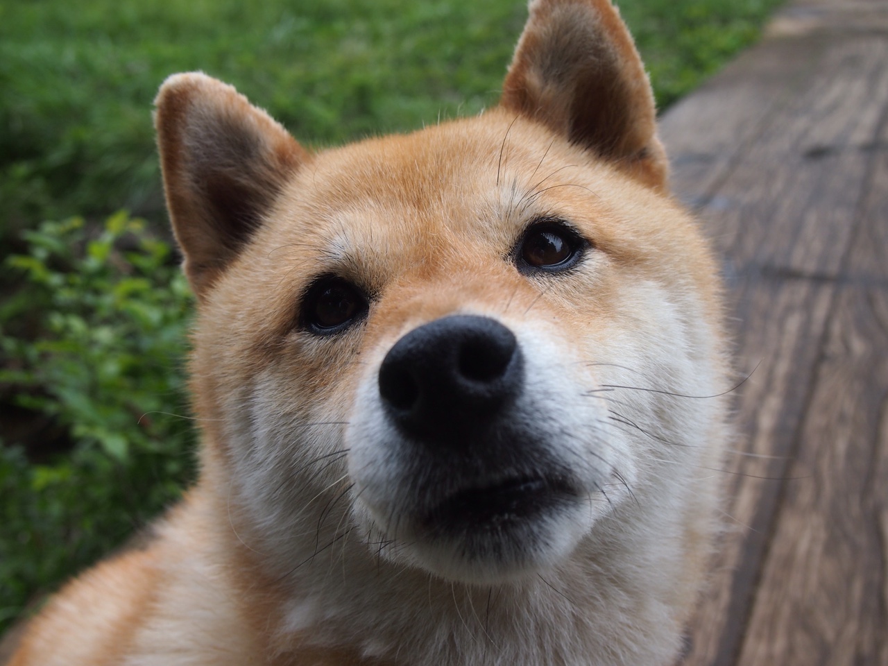 开云体育在线入口-职业球员参与社会公益活动树立良好社会形象